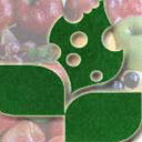 بازارسازان