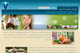 طراحی وب سایت, طراحی سایت