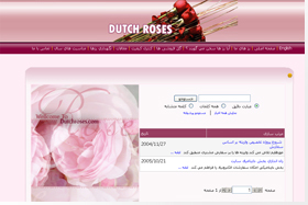 Website Design, Web Design