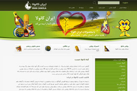 طراحی وب سایت, طراحی سایت