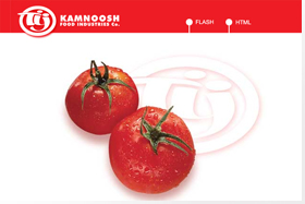 Website Design, Web Design