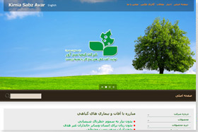 طراحی وب سایت, طراحی سایت