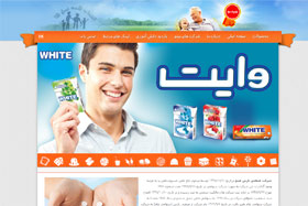 طراحی وب سایت, طراحی سایت