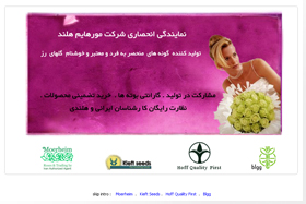 Website Design, Web Design