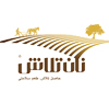 طراحی وب سایت